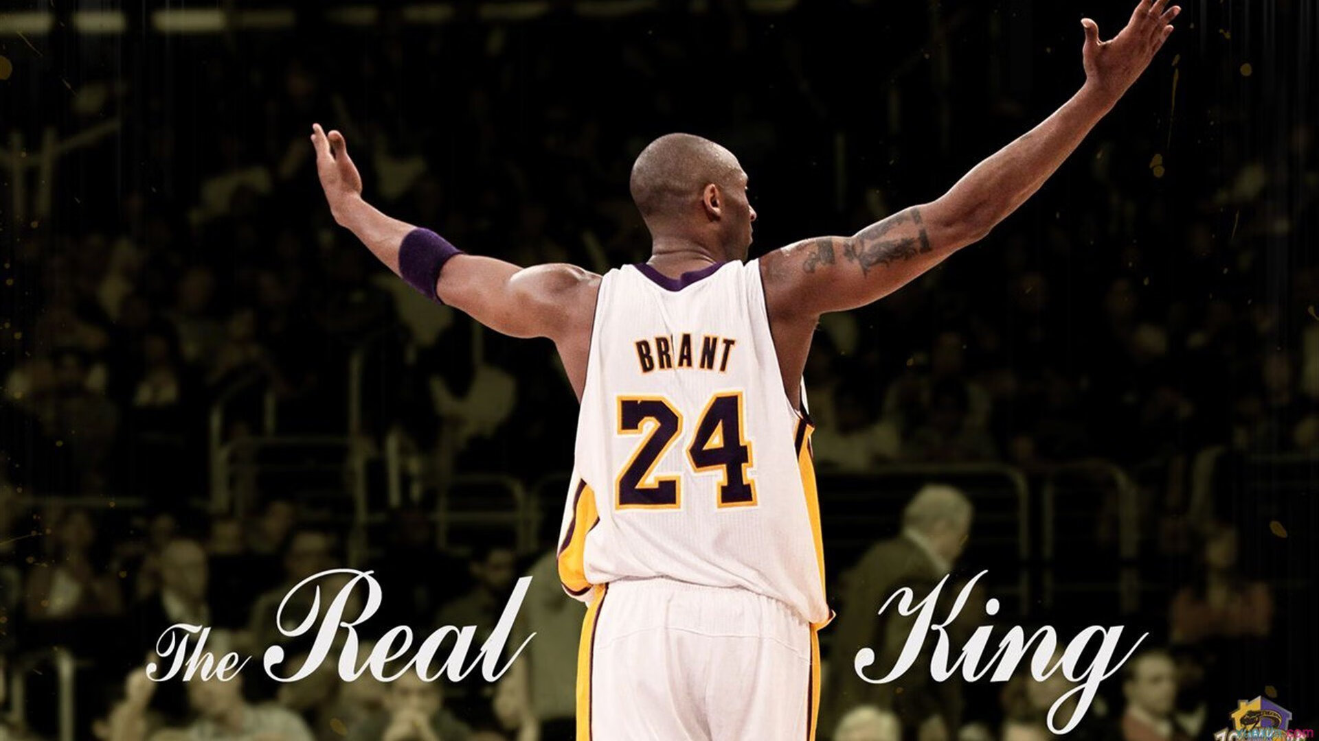 《王者荣耀季后赛，黑马战队逆袭夺冠》，夏季赛黑马